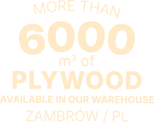 More than 6000m3 of plywood in our warehouse
